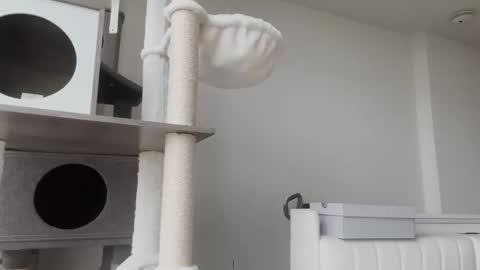 DADDY online show from January 8, 11:01 am