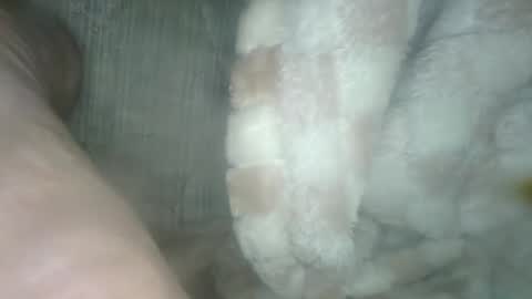 Snapshot of babyxxxangel chatting on December 19, 5:40 am babyxxxangel online show from December 19, 5:40 am