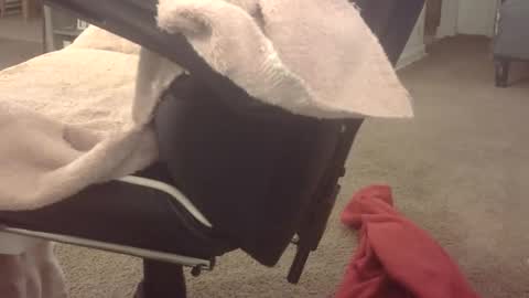 Snapshot of bam10inch chatting on March 18, 12:47 am b online show from March 18, 12:47 am