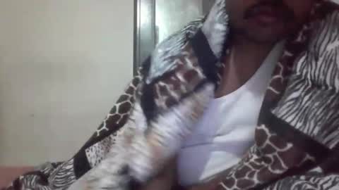 banda1212 online show from December 14, 3:28 pm