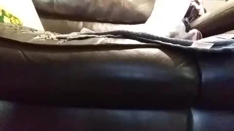 baobabtree8 online show from January 9, 1:45 pm