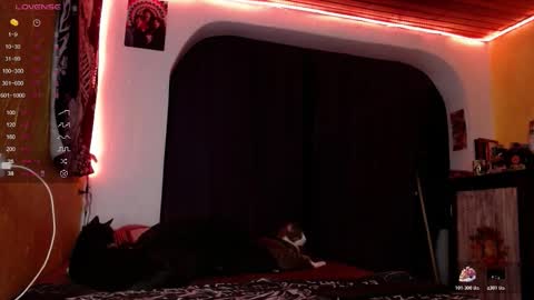 lilithgreen7 online show from December 20, 3:46 am