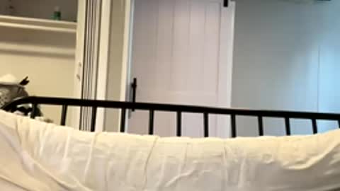 Tsbaby301 online show from March 2, 6:59 pm