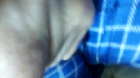 barbitall online show from November 15, 3:08 pm