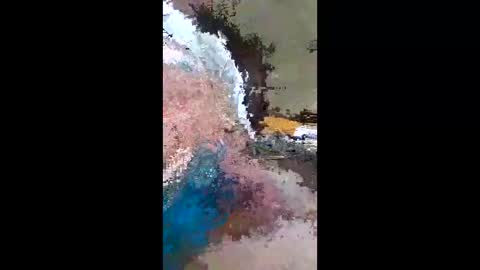 barbitall online show from January 13, 8:03 pm