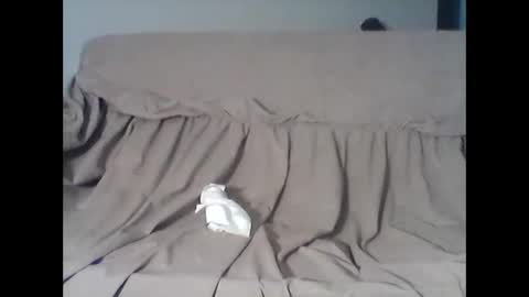 barrysand online show from November 11, 4:12 am