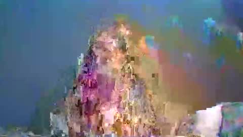 Snapshot of baylee_nicole18 chatting on June 4, 12:05 am baylee_nicole18 online show from June 4, 12:05 am