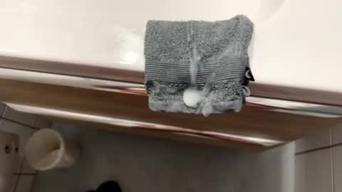 bazocaa online show from October 22, 4:02 am