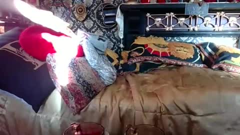 Bazza online show from November 1, 7:32 am