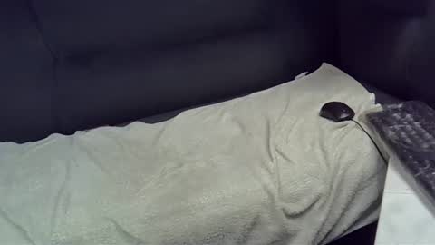 bbc_highness online show from February 21, 9:11 pm