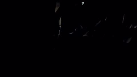 bbcexasperated online show from January 5, 11:15 am