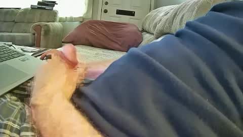 bcema2 online show from October 8, 6:49 pm