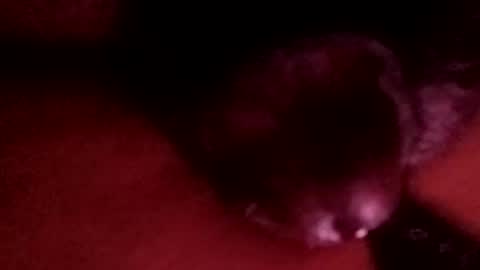 bcfalcon69 online show from April 1, 3:18 am