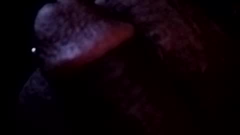 Snapshot of bcfalcon69 chatting on May 3, 3:45 am bcfalcon69 online show from May 3, 3:45 am