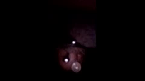 Snapshot of bcfalcon69 chatting on May 12, 5:48 am bcfalcon69 online show from May 12, 5:48 am