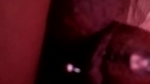 Snapshot of bcfalcon69 chatting on May 26, 6:20 am bcfalcon69 online show from May 26, 6:20 am