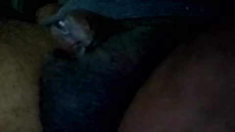Snapshot of bcfalcon69 chatting on May 31, 4:53 am bcfalcon69 online show from May 31, 4:53 am
