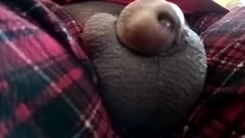 Snapshot of bcfalcon69 chatting on June 1, 1:24 pm bcfalcon69 online show from June 1, 1:24 pm