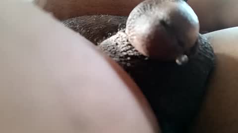 Snapshot of bcfalcon69 chatting on June 7, 12:42 pm bcfalcon69 online show from June 7, 12:42 pm