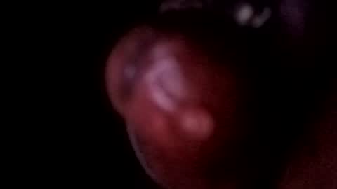 Snapshot of bcfalcon69 chatting on June 14, 5:09 am bcfalcon69 online show from June 14, 5:09 am