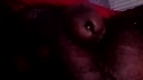 Snapshot of bcfalcon69 chatting on June 25, 3:28 am bcfalcon69 online show from June 25, 3:28 am