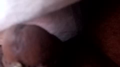 Snapshot of bcfalcon69 chatting on July 2, 5:46 am bcfalcon69 online show from July 2, 5:46 am