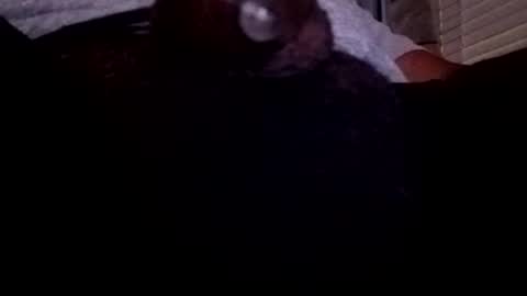 Snapshot of bcfalcon69 chatting on July 23, 4:10 am bcfalcon69 online show from July 23, 4:10 am