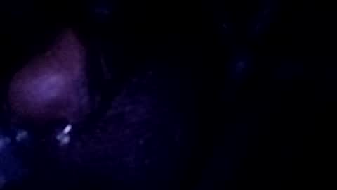 Snapshot of bcfalcon69 chatting on July 25, 3:04 am bcfalcon69 online show from July 25, 3:04 am