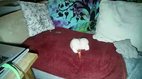 mikiforfun online show from November 18, 11:26 pm