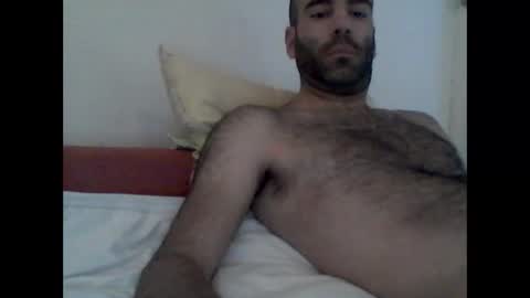 bear14250949 online show from October 25, 9:06 am
