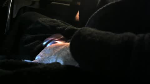 Snapshot of bear4146 chatting on December 8, 3:24 pm bear4146 online show from December 8, 3:24 pm