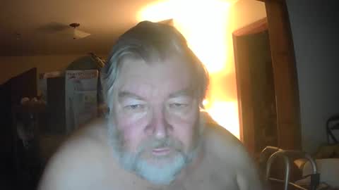 bear online show from May 17, 7:28 am