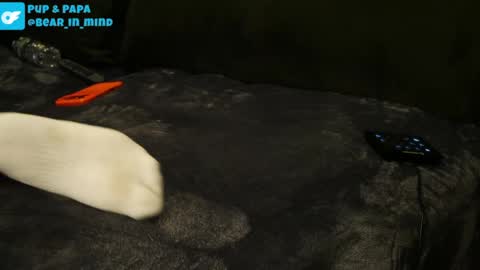 BareBear online show from April 22, 1:19 am