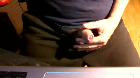 Snapshot of bearacuda555 chatting on February 24, 4:49 am Bruno online show from February 24, 4:49 am