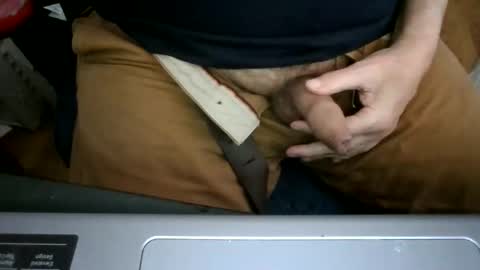 Snapshot of bearacuda555 chatting on December 14, 8:24 pm Bruno online show from December 14, 8:24 pm