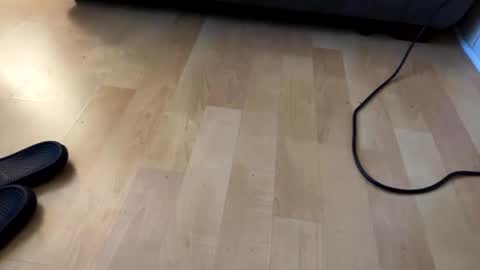 beard online show from December 6, 7:54 am