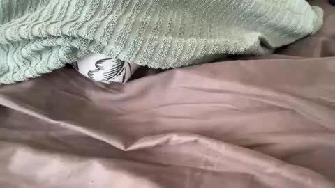 Snapshot of beaumec111 chatting on March 17, 3:48 pm beaumec111 online show from March 17, 3:48 pm