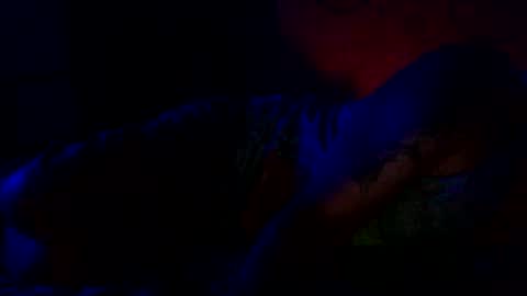 Snapshot of because_not chatting on June 22, 1:51 am because_not online show from June 22, 1:51 am