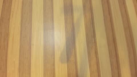 Melanie  online show from March 6, 10:34 am