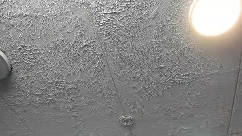  Bella  online show from December 4, 7:22 pm