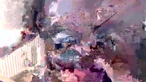      online show from December 5, 8:11 am