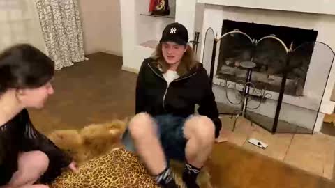 Baila online show from November 12, 9:58 pm