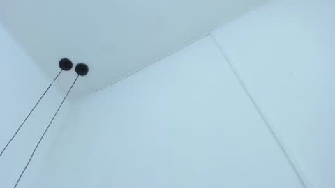 Bellota Flak online show from December 11, 6:47 am