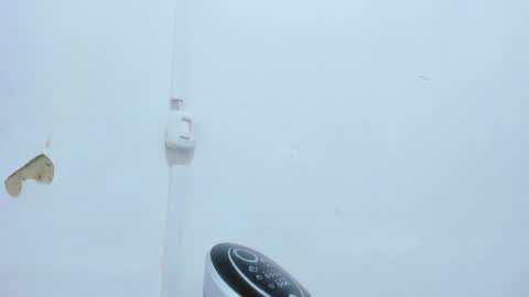 Bellota Flak online show from December 14, 4:56 am