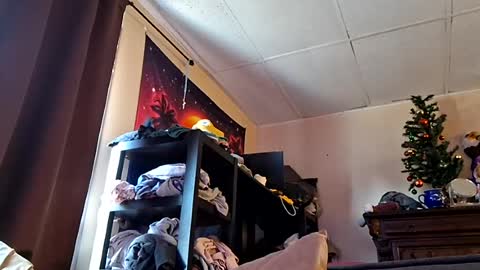 Snapshot of benwylder91 chatting on July 13, 8:11 pm benwylder91 online show from July 13, 8:11 pm