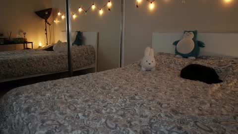 Chloe Next stream on Friday online show from November 16, 8:36 pm