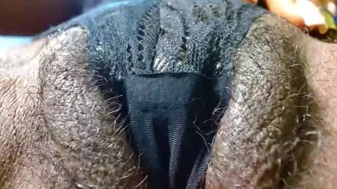 Snapshot of bethanywilsom chatting on January 24, 3:34 pm Bethany Wilson online show from January 24, 3:34 pm