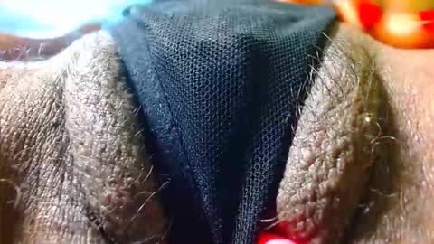 Bethany Wilson online show from December 17, 2:12 pm