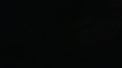 . online show from March 15, 11:00 pm