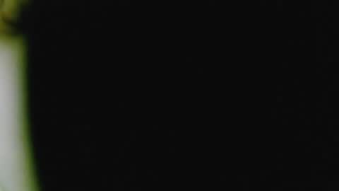 Snapshot of bhhuangxiaomei chatting on June 24, 12:20 am bhhuangxiaomei online show from June 24, 12:20 am